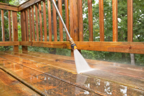 Best Vinyl Siding Pressure Washing in Lula, GA